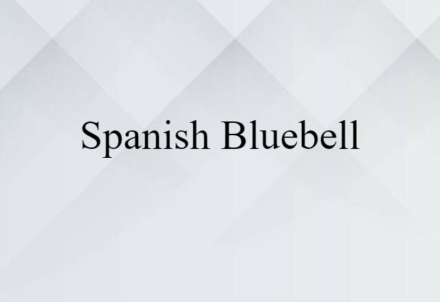 Spanish bluebell