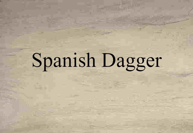 Spanish dagger