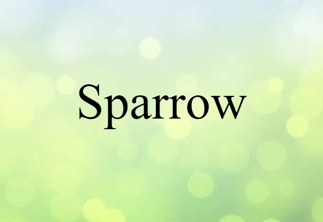 sparrow