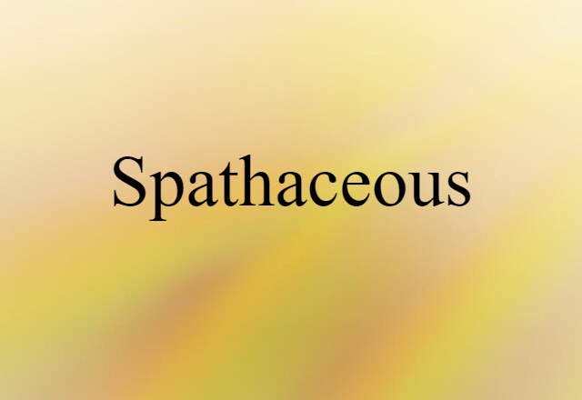 spathaceous