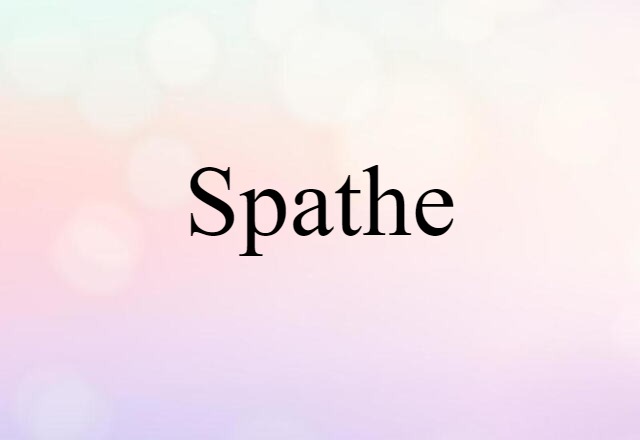 Spathe (noun) Definition, Meaning & Examples