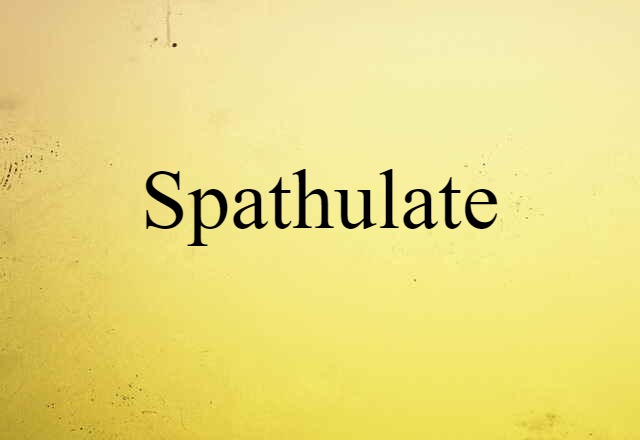 Spathulate (noun) Definition, Meaning & Examples