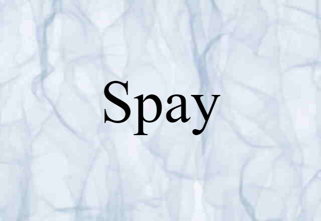 Spay (noun) Definition, Meaning & Examples