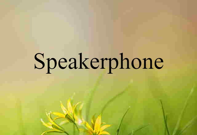 speakerphone