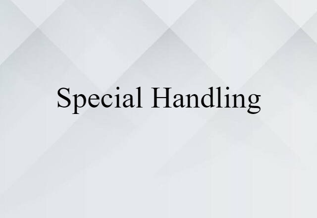 Special Handling (noun) Definition, Meaning & Examples