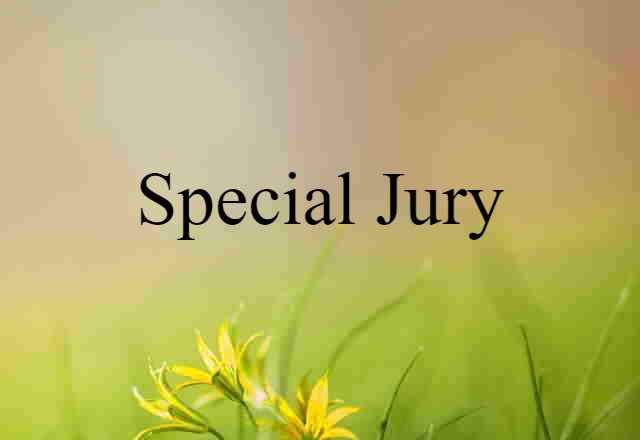 special jury