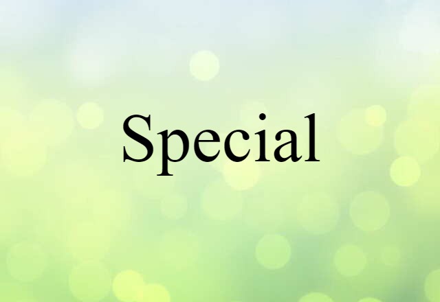 Special (noun) Definition, Meaning & Examples