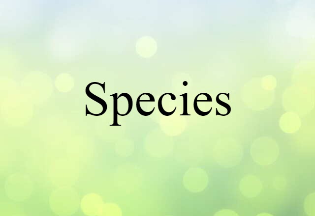 Species (noun) Definition, Meaning & Examples