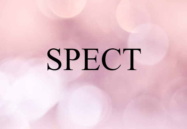 SPECT (noun) Definition, Meaning & Examples