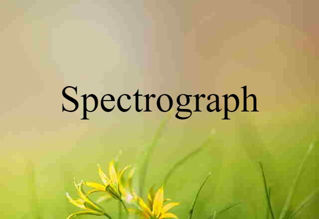 Spectrograph (noun) Definition, Meaning & Examples