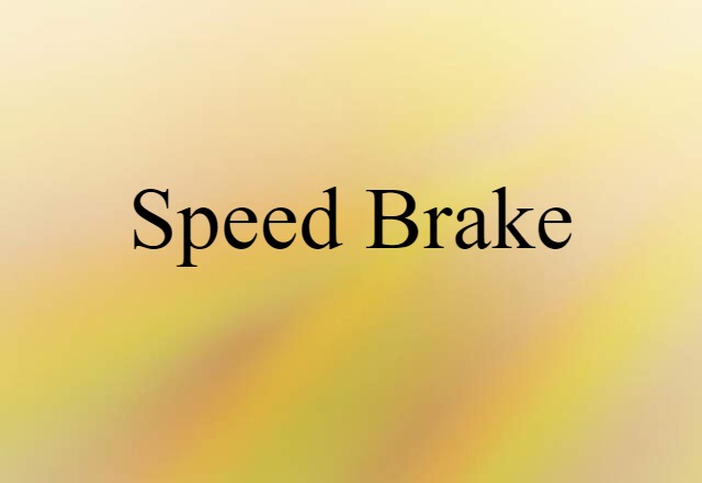 Speed Brake (noun) Definition, Meaning & Examples