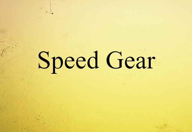 Speed Gear (noun) Definition, Meaning & Examples