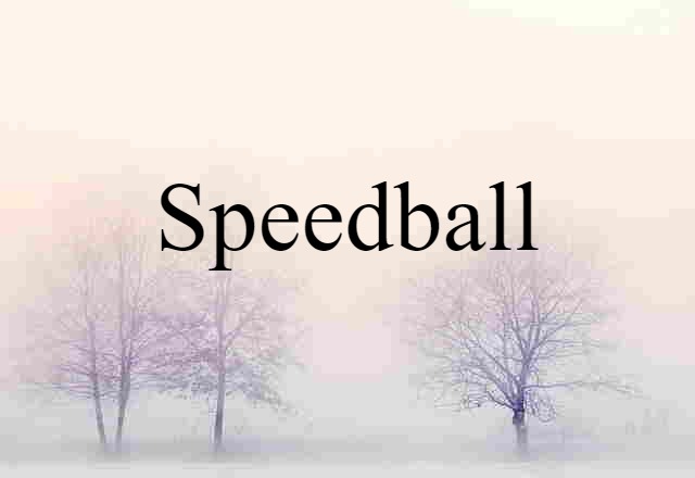 Speedball (noun) Definition, Meaning & Examples