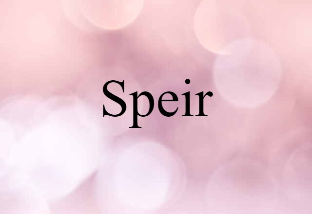 Speir (noun) Definition, Meaning & Examples