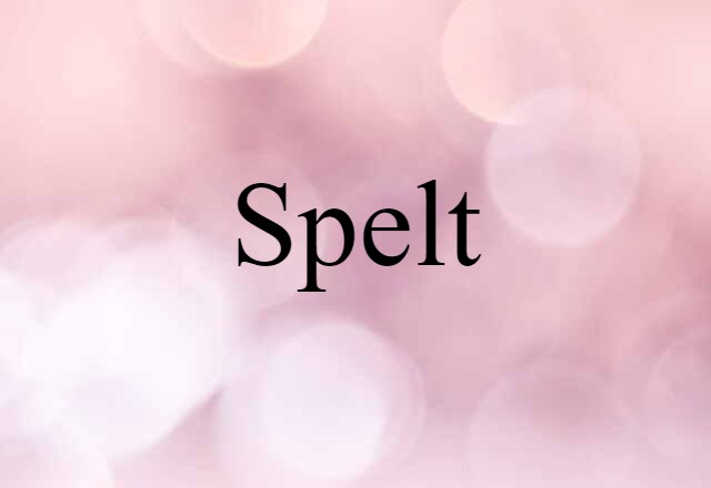 Spelt (noun) Definition, Meaning & Examples