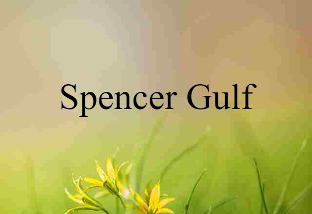 Spencer Gulf (noun) Definition, Meaning & Examples