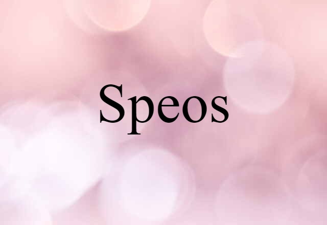 Speos (noun) Definition, Meaning & Examples