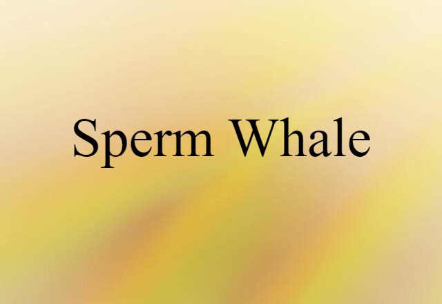 sperm whale