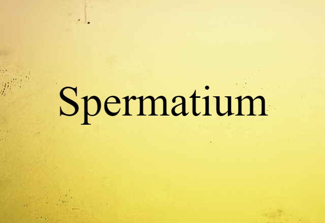 spermatium