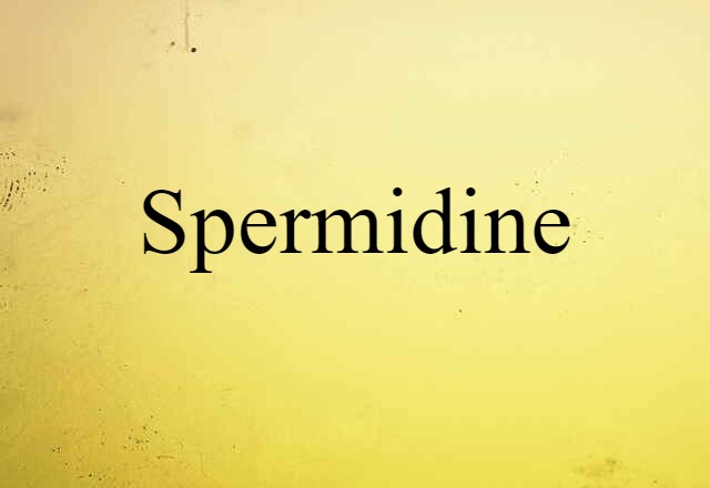 Spermidine (noun) Definition, Meaning & Examples