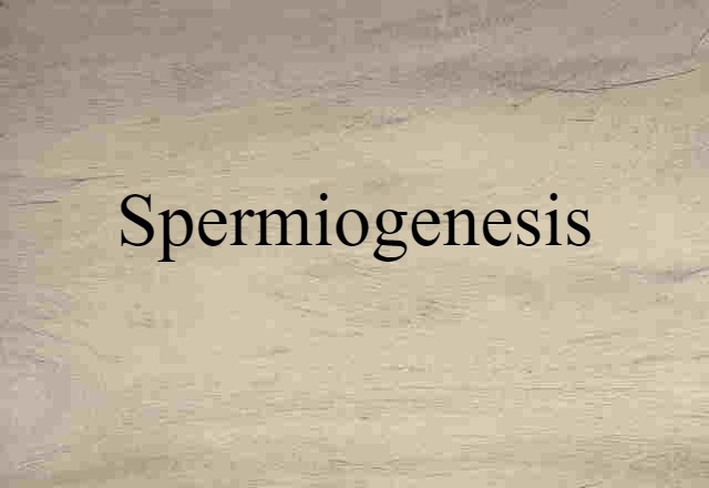 spermiogenesis