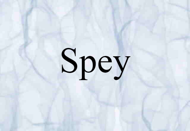 Spey (noun) Definition, Meaning & Examples