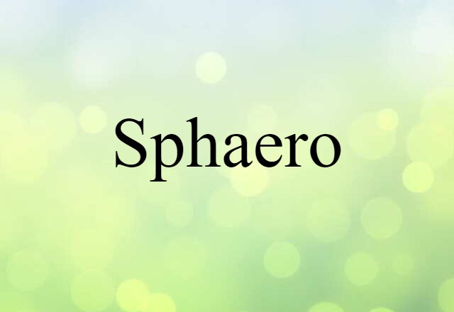 Sphaero (noun) Definition, Meaning & Examples