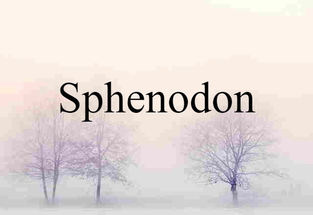 Sphenodon (noun) Definition, Meaning & Examples