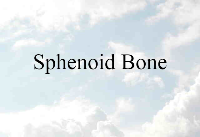 sphenoid bone