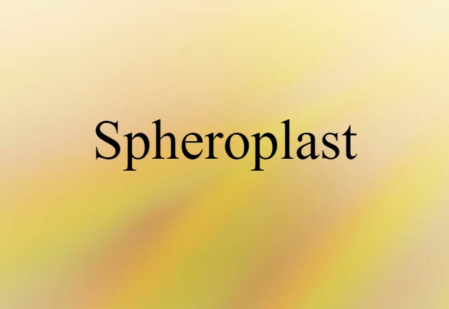 Spheroplast (noun) Definition, Meaning & Examples