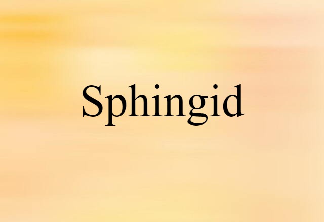 Sphingid (noun) Definition, Meaning & Examples