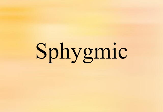 Sphygmic (noun) Definition, Meaning & Examples