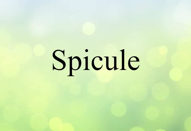 spicule