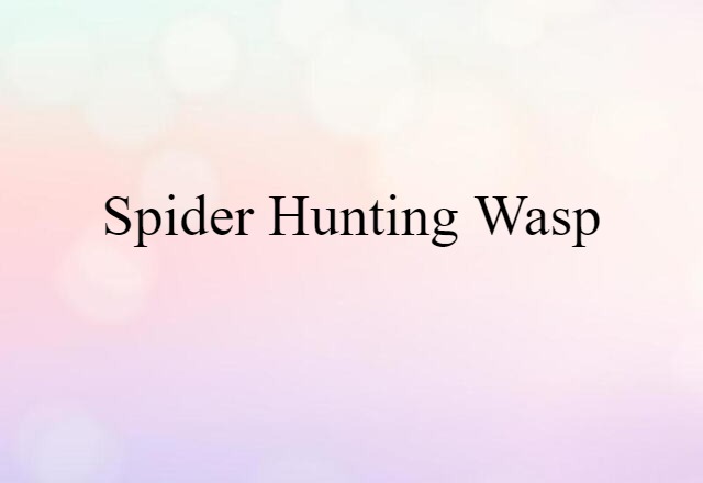 spider-hunting wasp