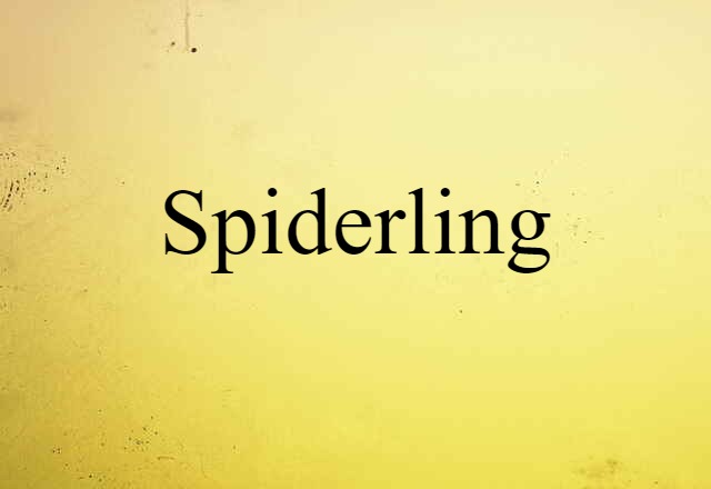 Spiderling (noun) Definition, Meaning & Examples