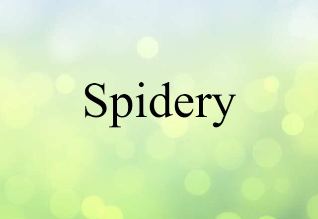 Spidery (noun) Definition, Meaning & Examples