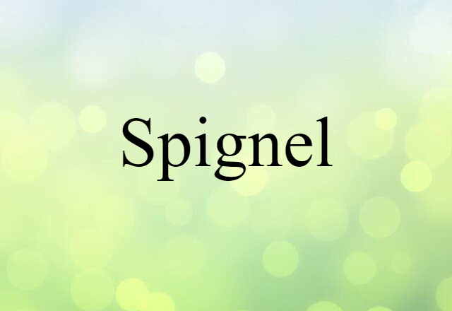 spignel