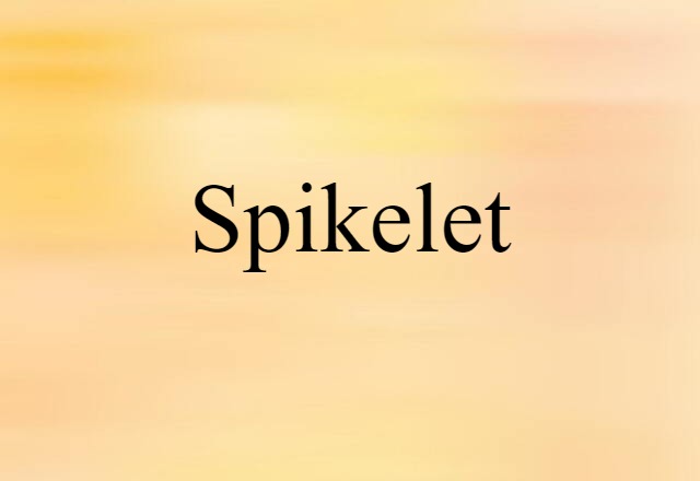 Spikelet (noun) Definition, Meaning & Examples