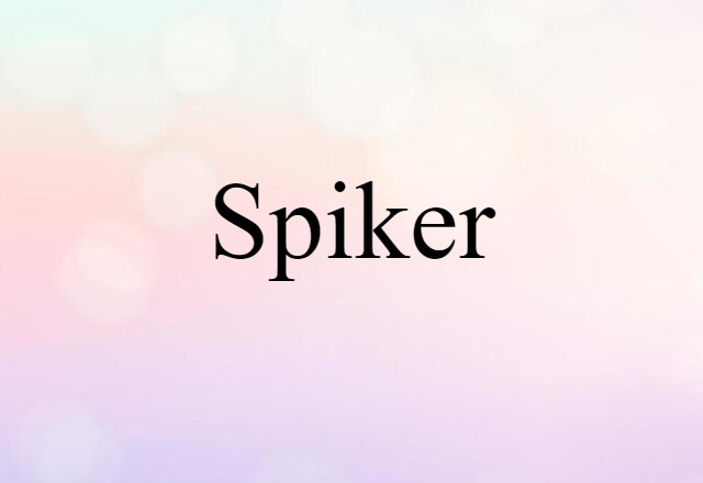 Spiker (noun) Definition, Meaning & Examples