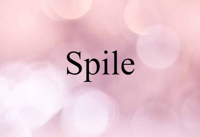 Spile (noun) Definition, Meaning & Examples