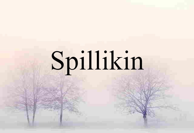 Spillikin (noun) Definition, Meaning & Examples