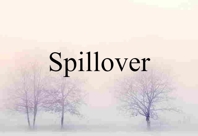 Spillover (noun) Definition, Meaning & Examples