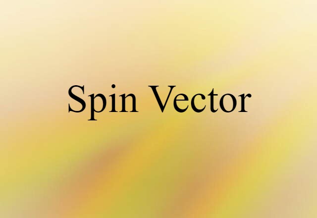 Spin Vector (noun) Definition, Meaning & Examples