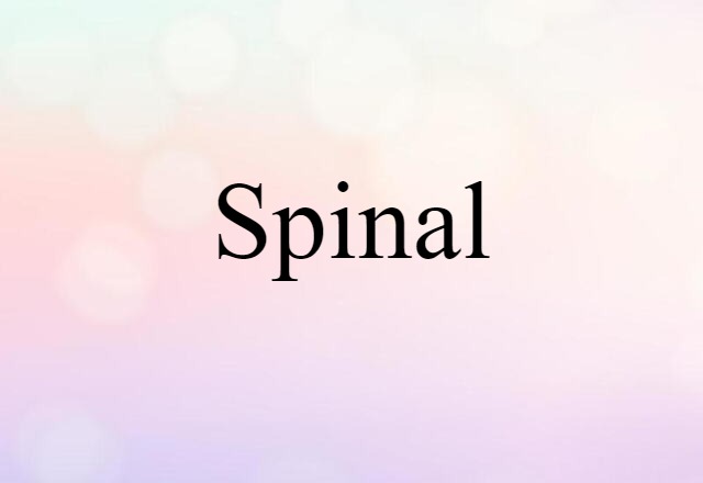 spinal