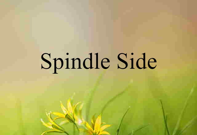 Spindle Side (noun) Definition, Meaning & Examples