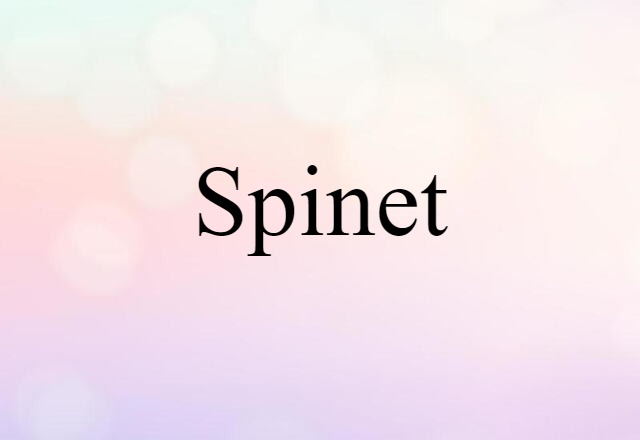 Spinet (noun) Definition, Meaning & Examples