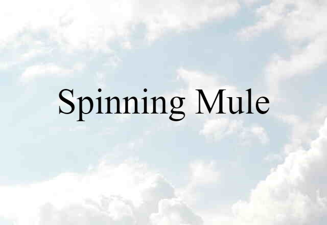 spinning mule