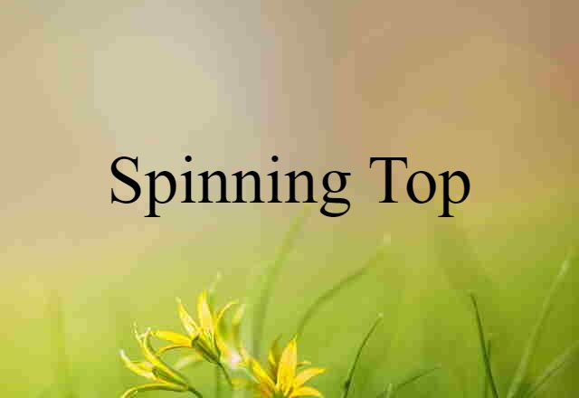 spinning top