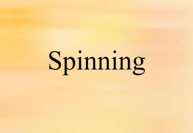 Spinning (noun) Definition, Meaning & Examples