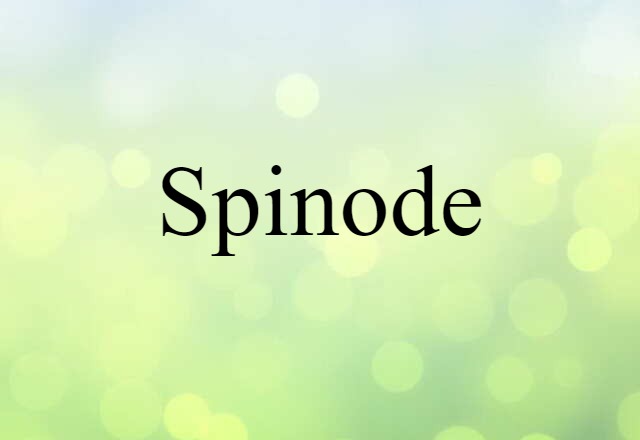 spinode